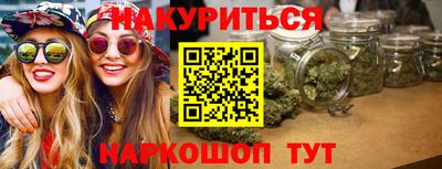 jwh Нальчик