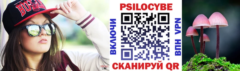 Галлюциногенные грибы Cubensis  даркнет состав  Вологда 