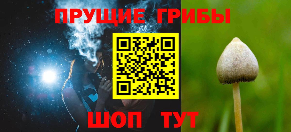 Галлюциногенные грибы Cubensis Вологда